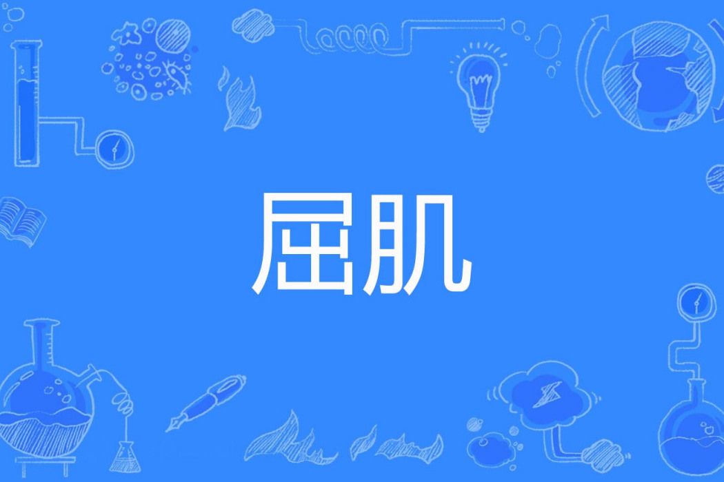 屈肌 屈肌