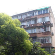 通河四村 通河四村