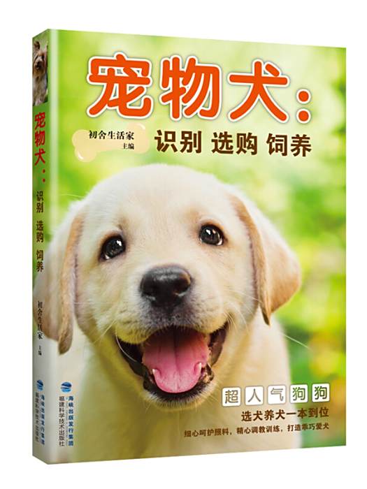 寵物犬 寵物犬
