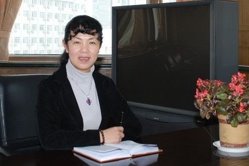 褚麗萍(天津市統計局黨組成員、一級巡視員) 褚麗萍(天津市統計局黨組成員、一級巡視員)