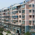 古桐六村 古桐六村