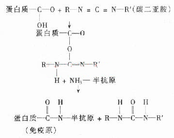 碳化二亞胺的結構圖