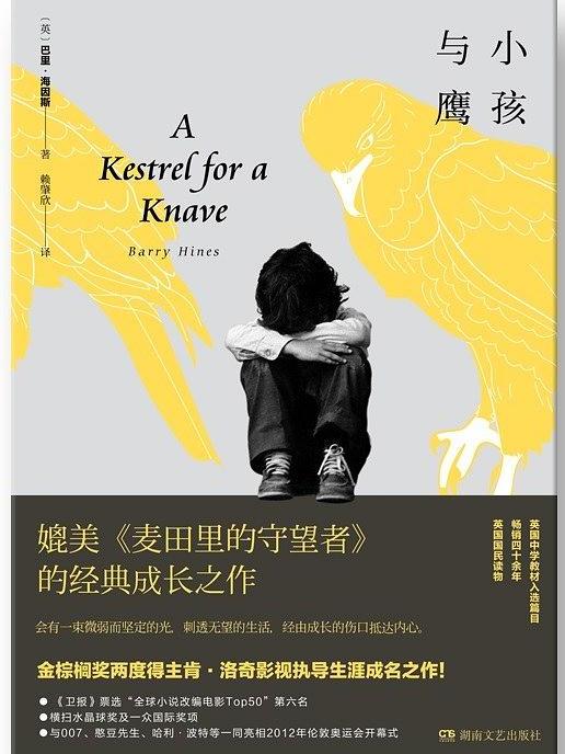 小孩與鷹([英] 巴里·海因斯原著小說)