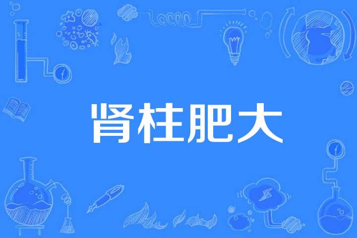 腎柱肥大 腎柱肥大