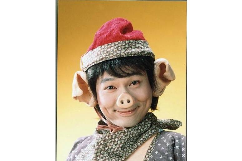 豬八戒(1996年TVB版《西遊記》中的男主角) 豬八戒(1996年TVB版《西遊記》中的男主角)