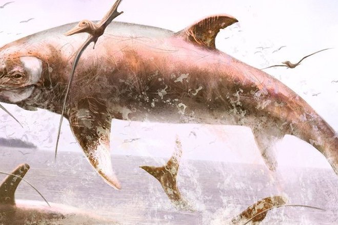 佩氏魚龍 佩氏魚龍
