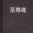 至尊魂 至尊魂
