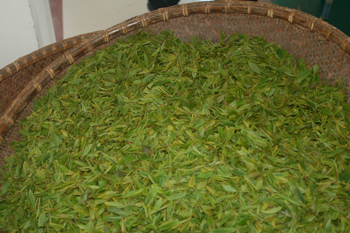 聖母茶 聖母茶