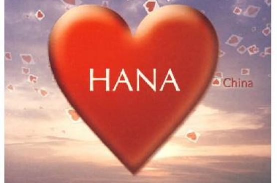 hana(hansey圖書)