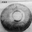 虎簋蓋 虎簋蓋