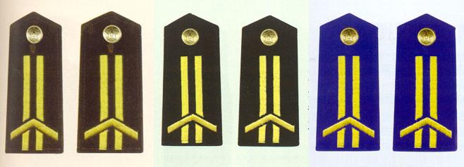 陸海空軍一級軍士長肩章(1993—1999)