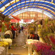 昆明斗南花卉市場(斗南花市) 昆明斗南花卉市場(斗南花市)