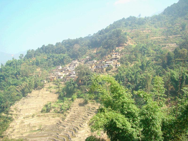 咪期東村 咪期東村