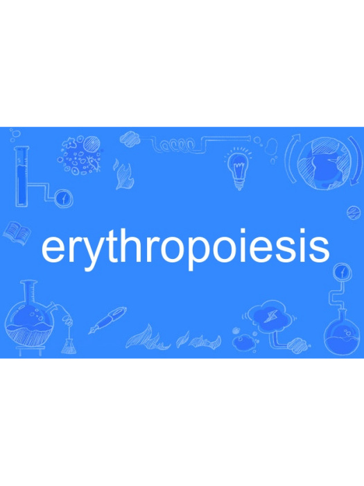 erythropoiesis erythropoiesis
