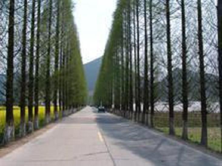 儒山村 儒山村