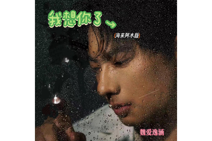 我想你了(海來阿木演唱的流行歌曲,發行於2025年3月28日) 我想你了(海來阿木演唱的流行歌曲,發行於2025年3月28日)