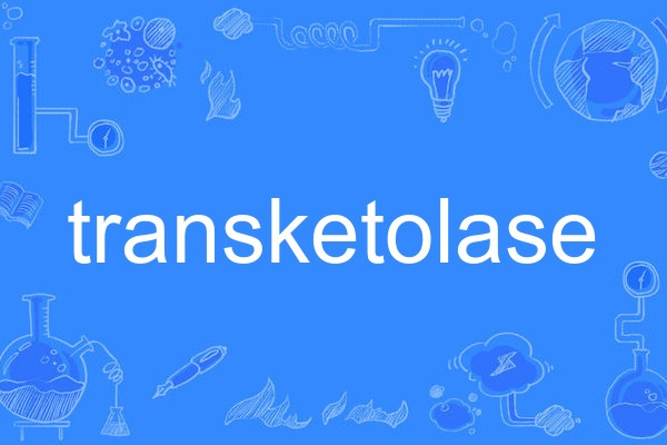 transketolase transketolase