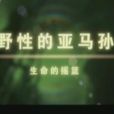 野性的亞馬孫 野性的亞馬孫