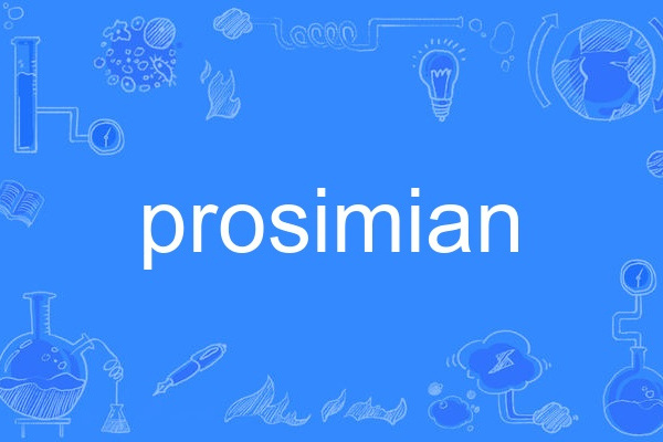 prosimian prosimian