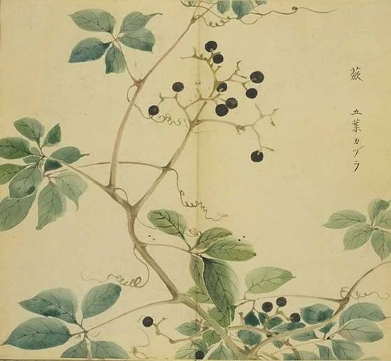 國風·陳風 國風·陳風