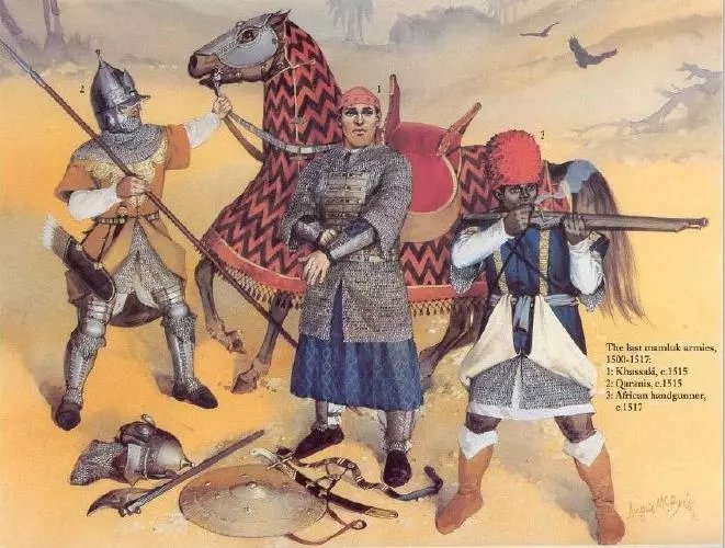 達比克草原戰役(敘利亞戰爭（奧斯曼帝國與馬穆魯克王朝的戰爭）)