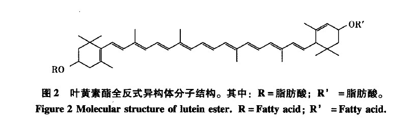 葉黃素酯分子結構圖