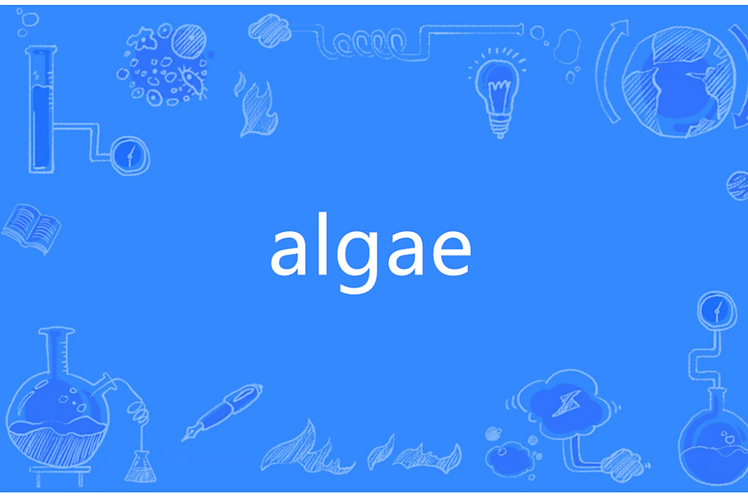 Algae(英語單詞) Algae(英語單詞)