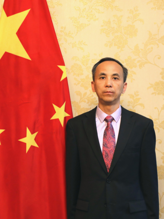 劉軍(中華人民共和國駐埃爾比勒總領事)