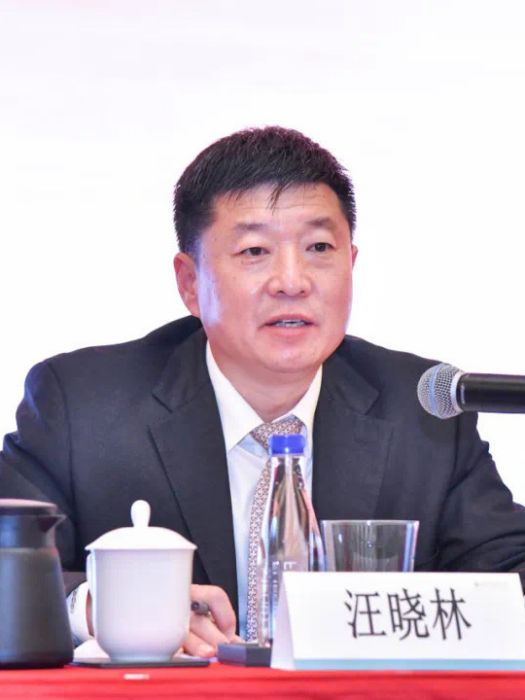 汪曉林(廈門安居集團有限公司黨委書記、董事長) 汪曉林(廈門安居集團有限公司黨委書記、董事長)