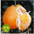 春見
