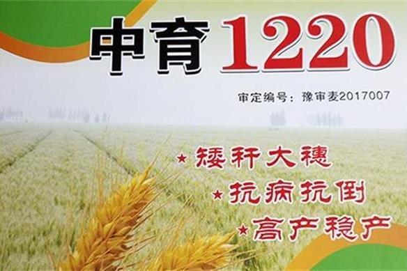 中育1220 中育1220