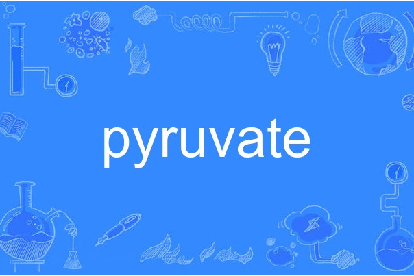 pyruvate pyruvate