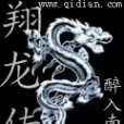翔龍傳 翔龍傳