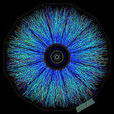 夸克—膠子電漿