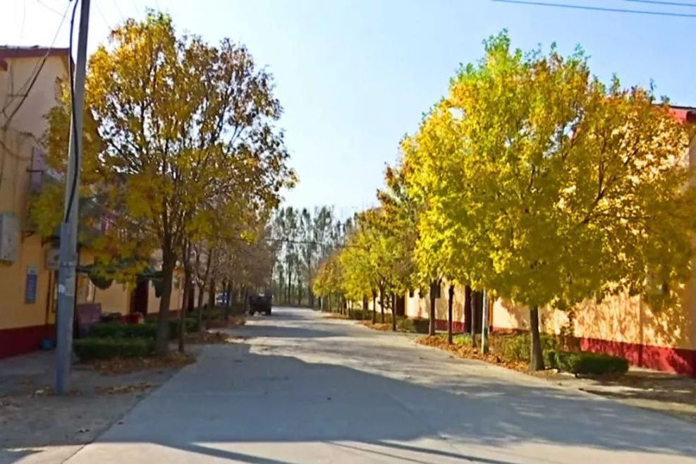 申張村 申張村