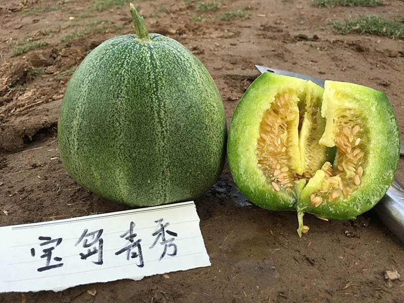 寶島青秀