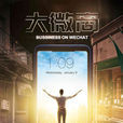 大微商(電影) 大微商(電影)