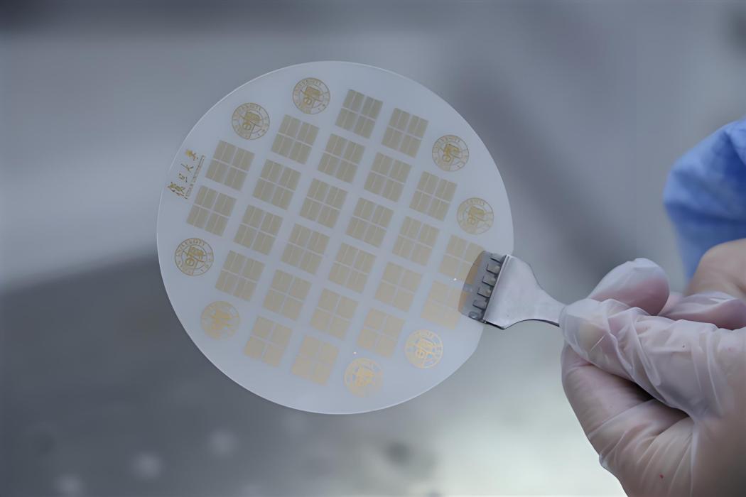 無極(基於二維半導體材料的32位RISC-V架構微處理器) 無極(基於二維半導體材料的32位RISC-V架構微處理器)