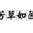 芳草如茵 芳草如茵
