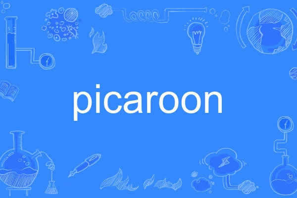 picaroon picaroon