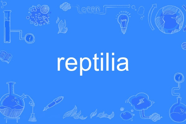 reptilia(英語單詞) reptilia(英語單詞)