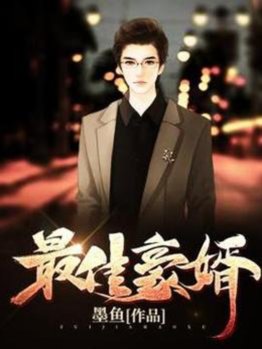 最佳豪婿(墨魚所著小說) 最佳豪婿(墨魚所著小說)