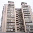 房建大廈 房建大廈