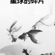 星球的碎片 星球的碎片
