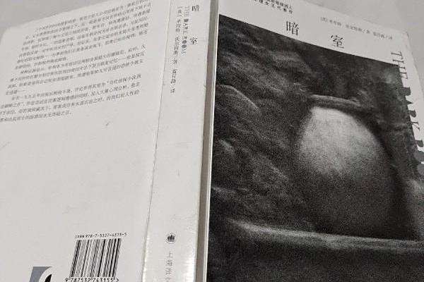 暗室(英國作家米涅特·沃爾特斯創作的推理小說) 暗室(英國作家米涅特·沃爾特斯創作的推理小說)