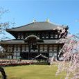 東寺 東寺