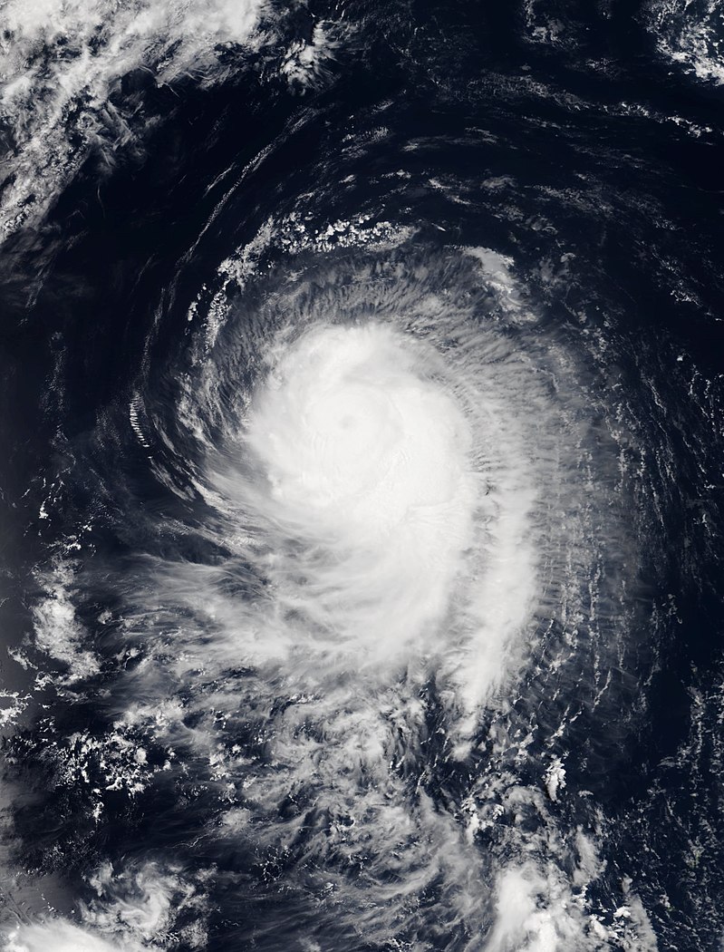 颱風哈洛拉
