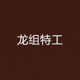 龍組特工 龍組特工