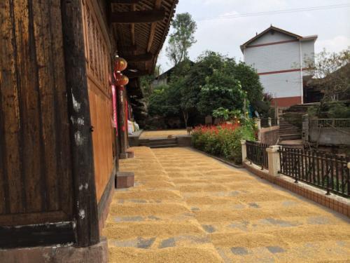 火麻村 火麻村