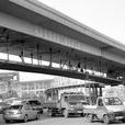 東新路(杭州道路) 東新路(杭州道路)